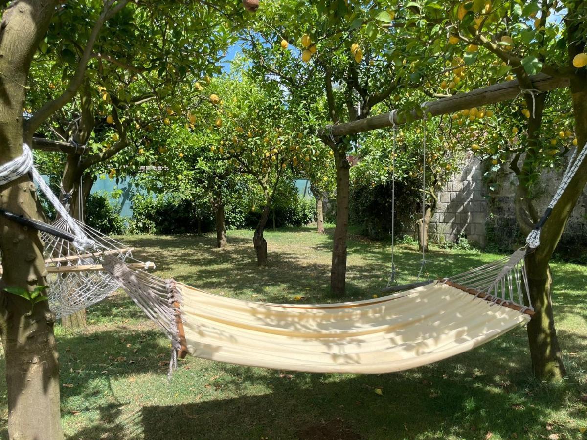 Casa Sorrento, Immerso Nel Verde A Pochi Passi Dal Centro Dış mekan fotoğraf