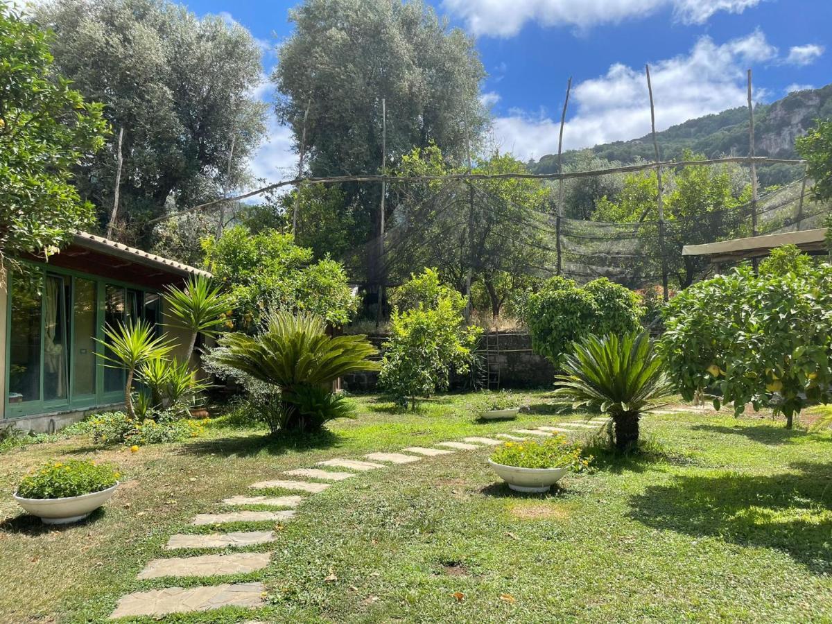 Casa Sorrento, Immerso Nel Verde A Pochi Passi Dal Centro Dış mekan fotoğraf