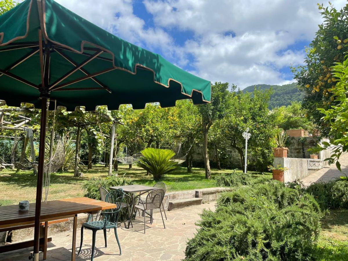 Casa Sorrento, Immerso Nel Verde A Pochi Passi Dal Centro Dış mekan fotoğraf
